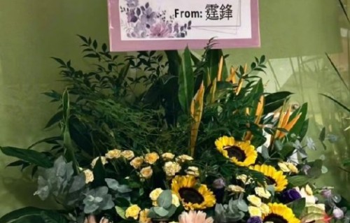 谢霆锋在演唱会上对窦靖童表达了怎样的支持？