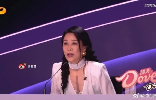 那英未来的演唱会和音乐计划是什么？
