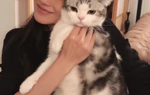 舒淇素颜抱猫出镜 猫咪都被她的颜值吓到了