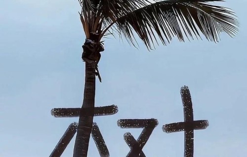 后来才听懂的那些句子，每一句都是人生～