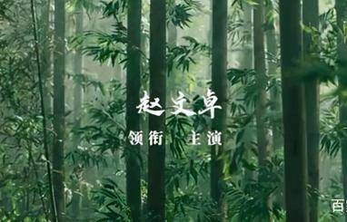 《披荆斩棘的哥哥》总决赛中,赵文卓成团夜再现武侠名场面|打戏|节目|卓哥|武林|武侠片