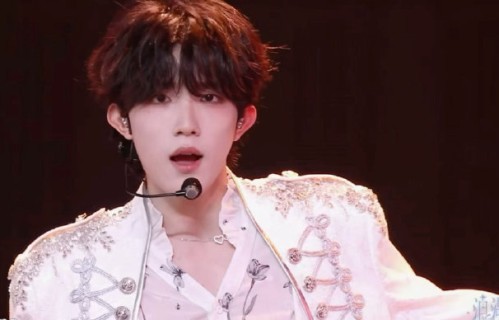 苏新皓在“登陆少年浪漫主义演唱会”上演唱《到了明天》的表现细节有哪些？