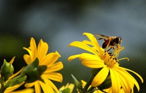 不要再管你的孩子叫宝宝、小乖乖、崽等，尽可能把他往高了叫