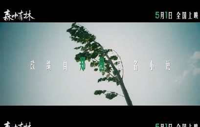 电影《森中有林》主要讲述了什么样的故事？|于和伟|时间|郑执作品|高圆圆|王放