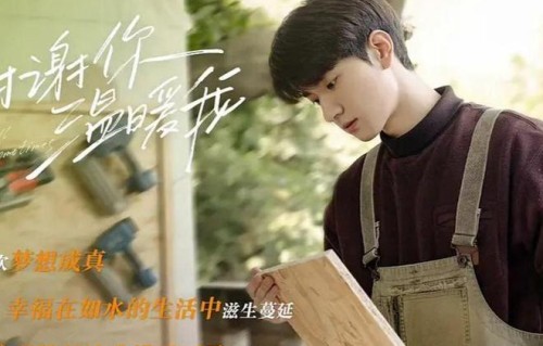 电视剧收视率排行榜:《烟火人家》排在倒数,《与凤行》位居第一