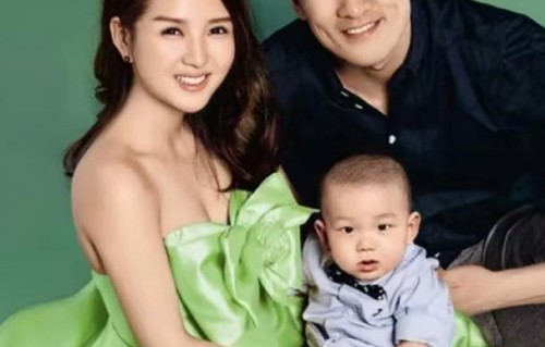 何洁与赫子铭离婚后的经济状况和抚养争议，具体是怎么回事？