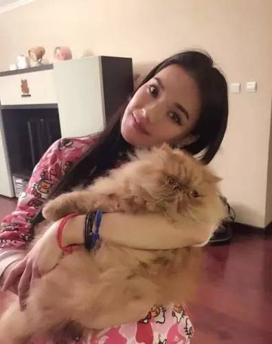 △舒淇与猫咪