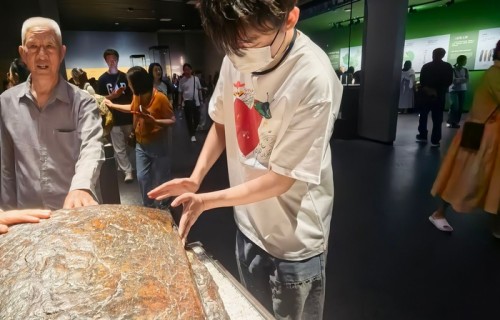 孙九芳晒成都游客照