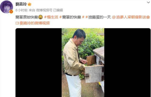 这届巨星“退休”生活图鉴：梁朝伟捡蛋、张曼玉挖洋芋、贝克汉姆摘蚕豆