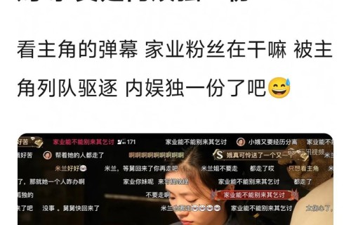 刘浩存新剧弹幕现杨紫家业宣传引争议|杨紫的家业|主角