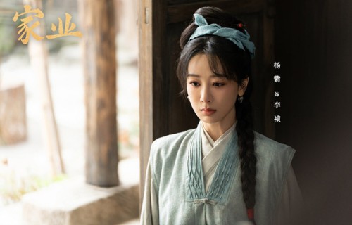 《家业》6集过后，杨紫演技如何？一场对手戏，引而不发，很高级|电视剧剧情讨论|孙女|层次|后背|镜头