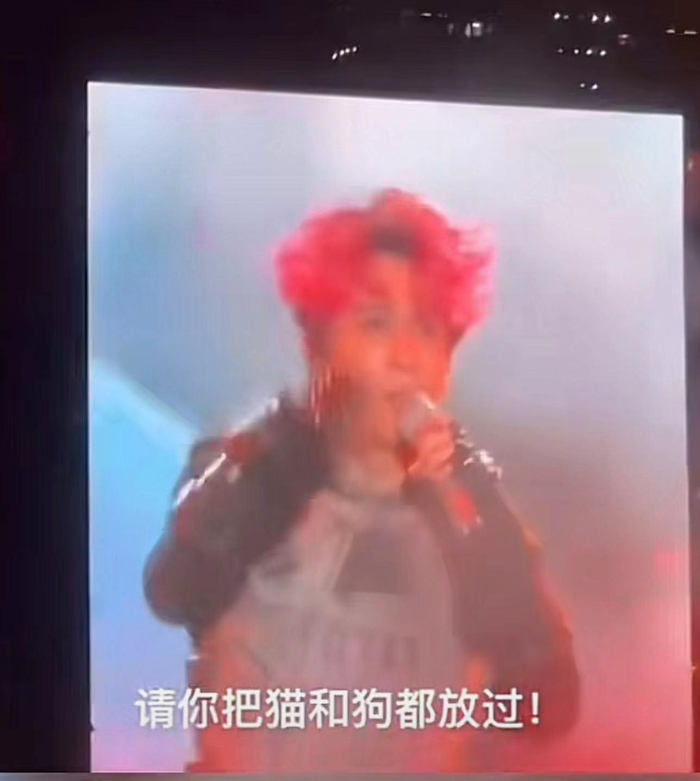 打开网易新闻 查看精彩图片